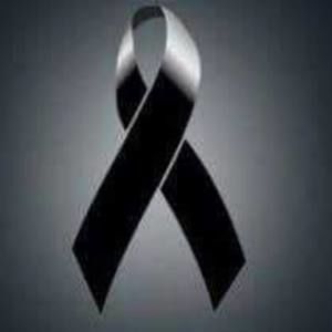 Meet your Posher, Itzel